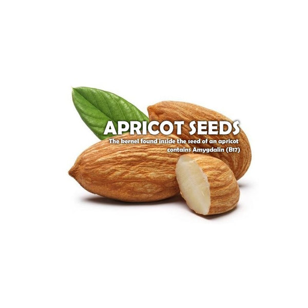 Buy Bitter Apricot Seeds, California Grown, 1 lb, All Natural, GMO Free, Organic Farms